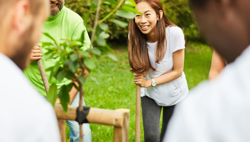 Partnering with The Forktree Project: A Journey Towards Carbon Neutrality thumbnail