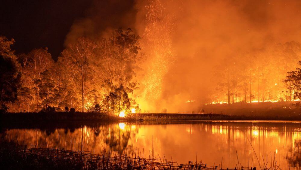 CHU and Flex Insurance waiving excesses for bushfire claims thumbnail