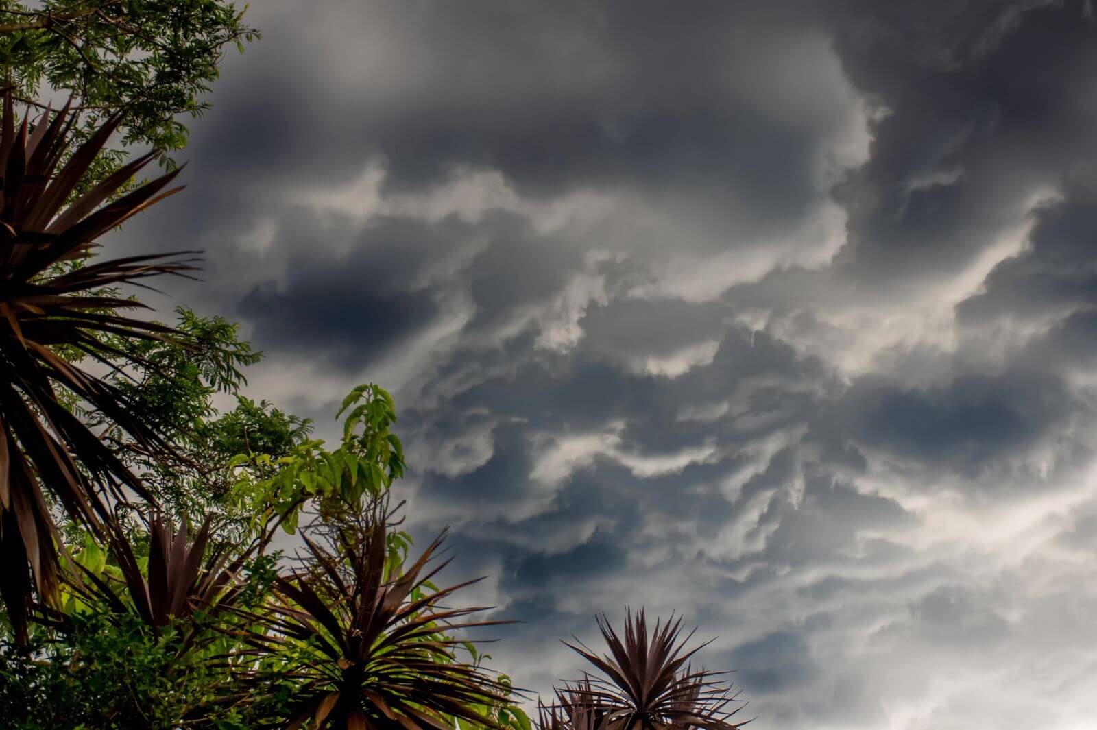 La Niña: strata risks and how to minimise them thumbnail